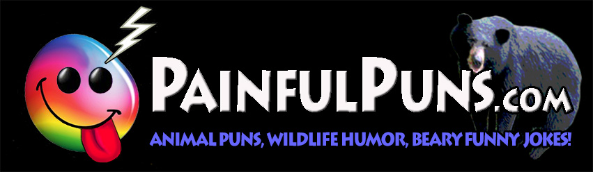 PainfulPuns.com - Animal Puns, Wildlie Humor, Beary Funny Jokes!