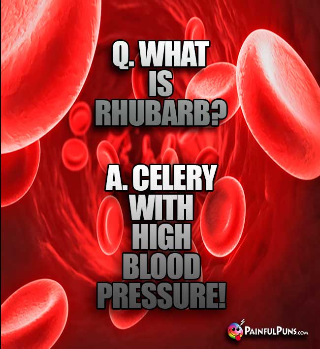 Q. What is Rhubarb? A. Celery with high blood pressure!