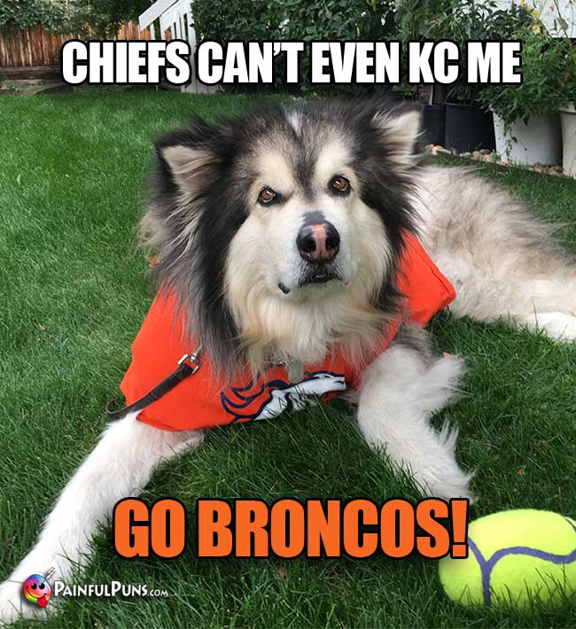 Big dog fan says: Chiefs can't even KC me. Go Broncos!