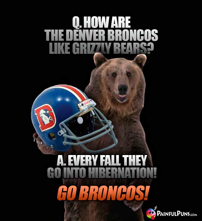 Q. How are the Denver Broncos like grizzly bears? A. Every fall they go into hibernation! Go Broncos!