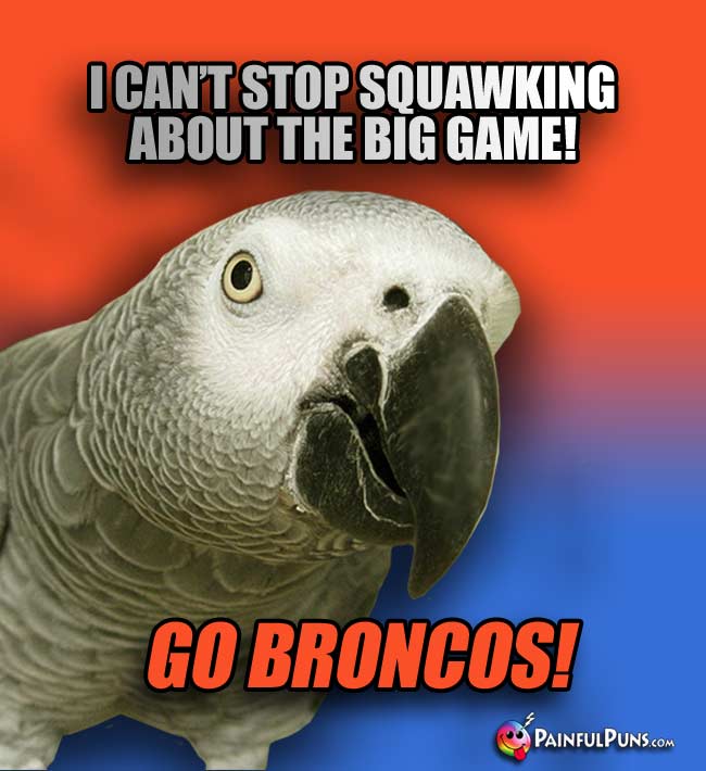 Parrot says: I can't stop squawking about the big game! Go Broncos!