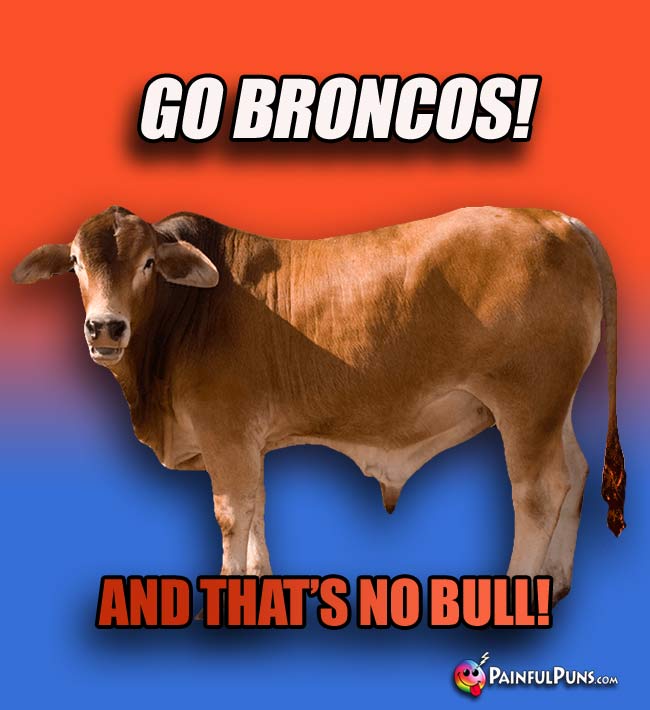 Bull says: Go Broncos! And That's No Bull!