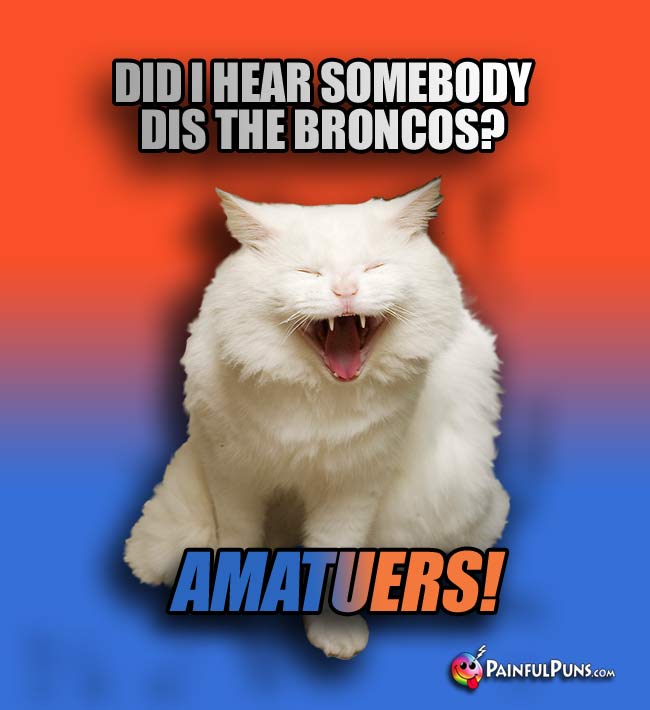 Laughing cat says: Did I hear somebody dis the Broncos? Amatuers!