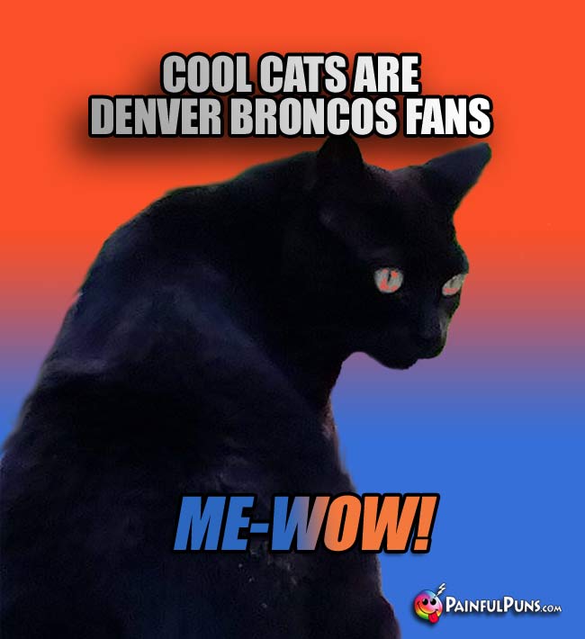 Cool cats are Denver Broncos fans. Me-Wow!