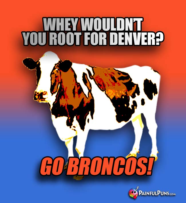 Dairy cow says: Whey wouldn't you root for Denver? Go broncos!