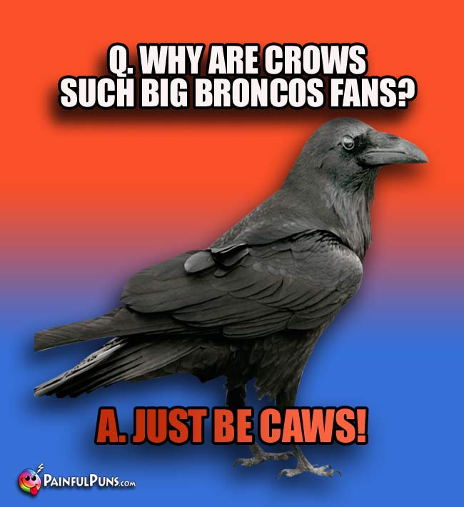 Q. Why are crows such big Broncos fans? A. Just be caws!