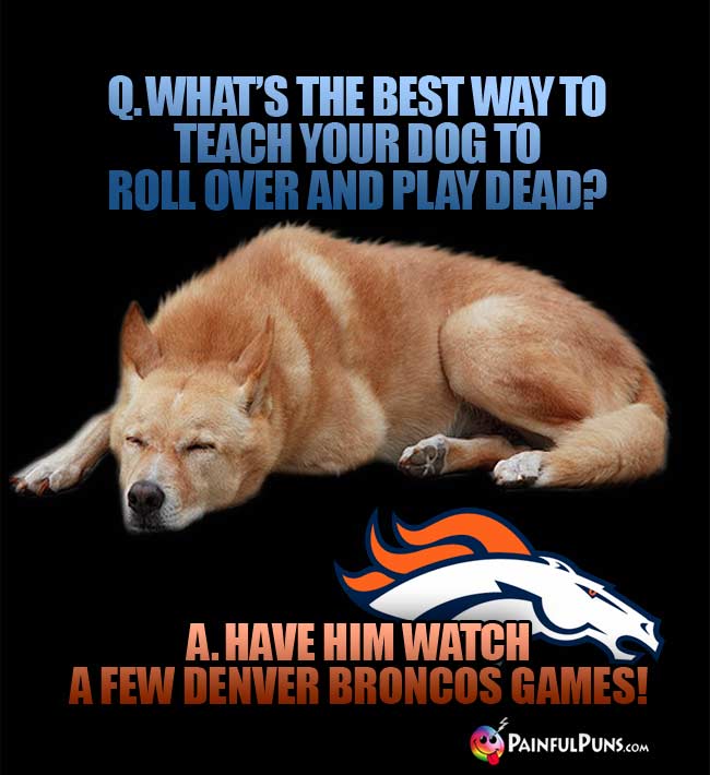 Q. what's the best way to teach your dog to roll over and play dead? A. Have him watch a few Denver Broncos games!