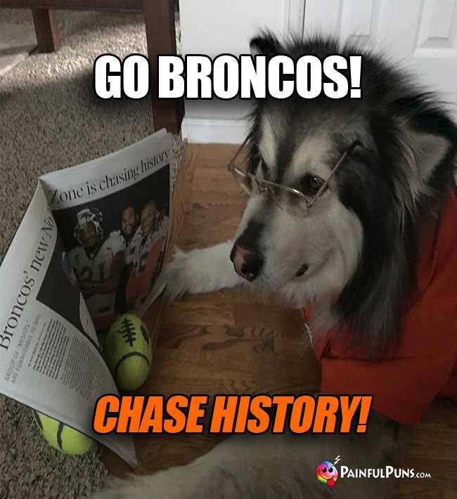 Dog reading sports news says: Go Broncos! Chase History!