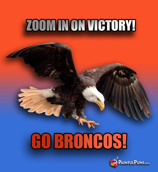 Bald eagle says: zoom in on victory! Go Broncos!