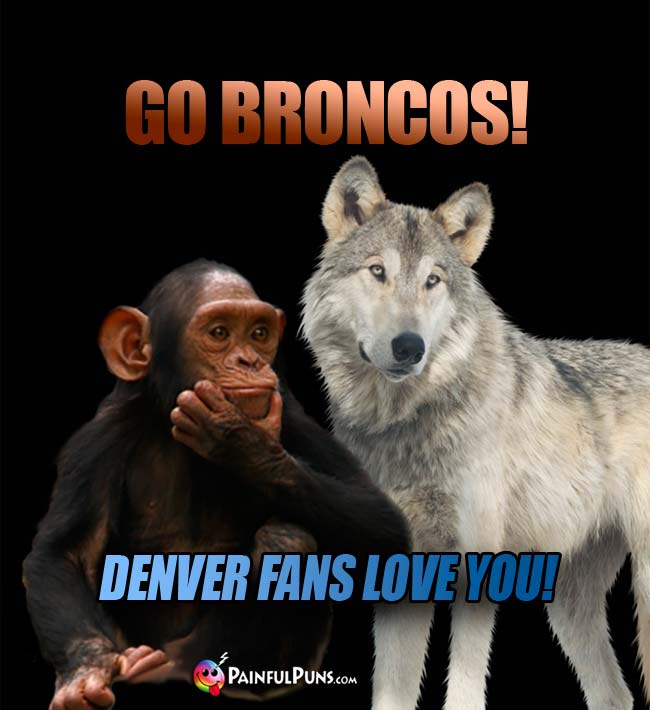 Chimp and wolf say: Go Broncos! Denver Fans Love You!
