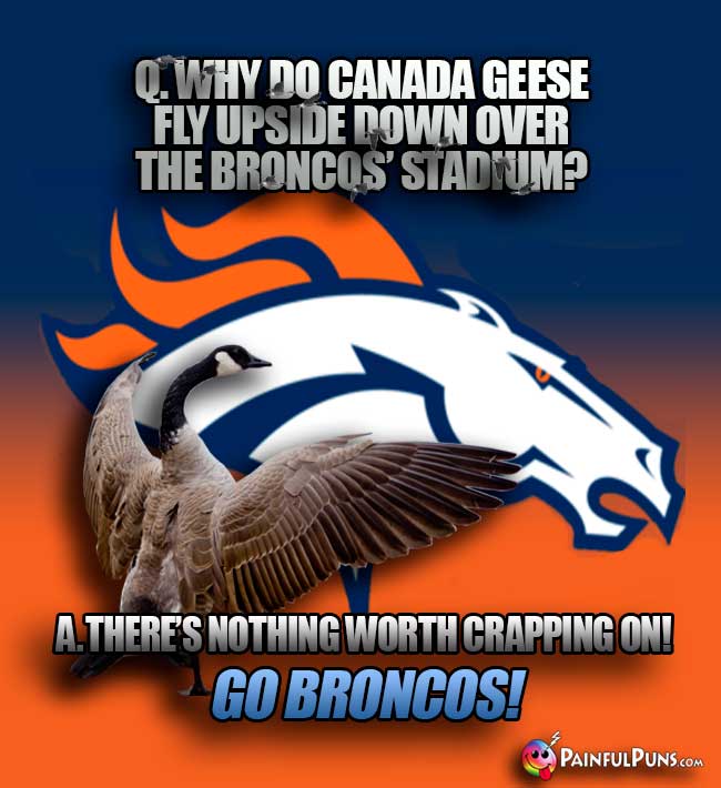 Q. Why do Canada geese fly upside down over the Broncos' stadium? A. There's nothing worth crappon on! GO Broncos!