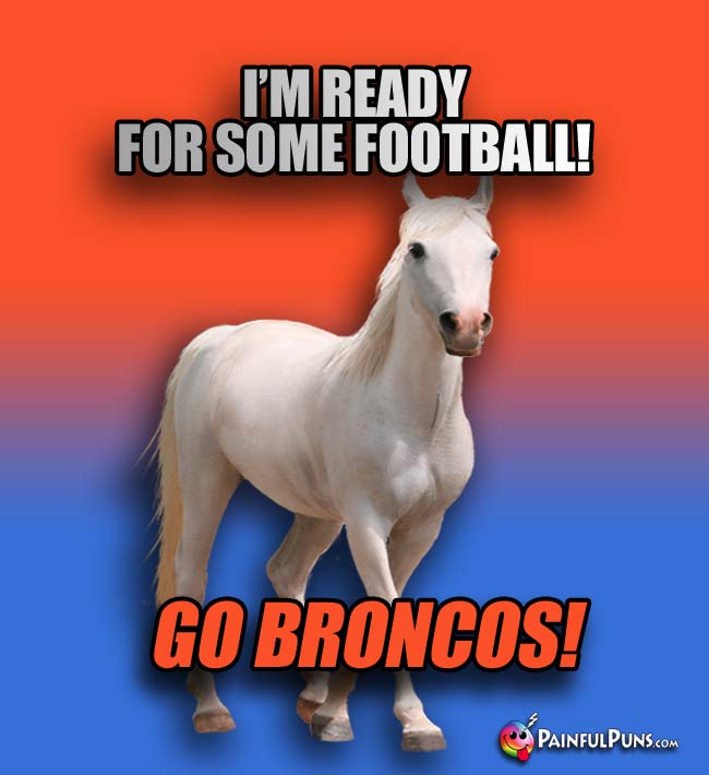 White horse says: I'm ready for some football! Go Broncos!
