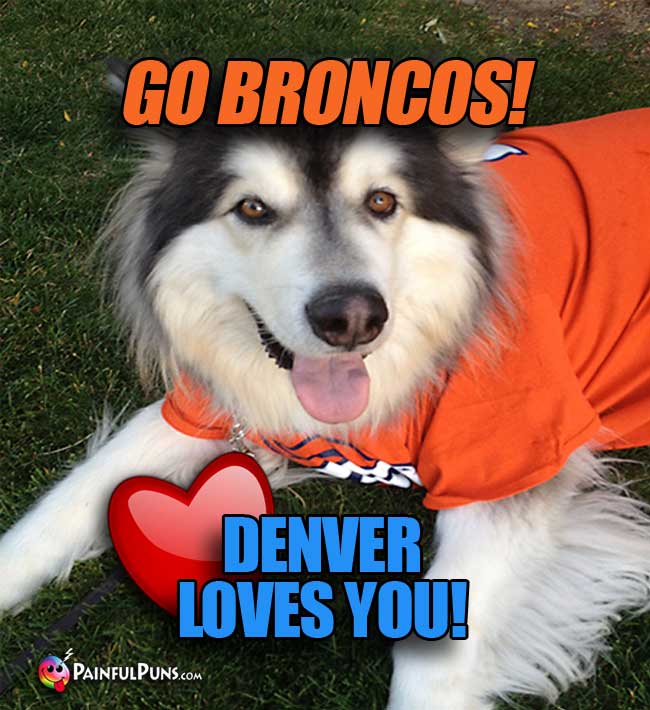 Big dog fan says: Go Broncos! Denver Loves You!