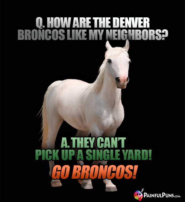 Q. How are the Denver Broncos like my meighbors? A. They can't pick up a single yard! Go Broncos!