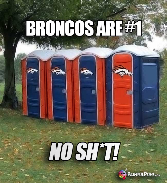 Port-o-potties say: Broncos are #1. No sh*t!