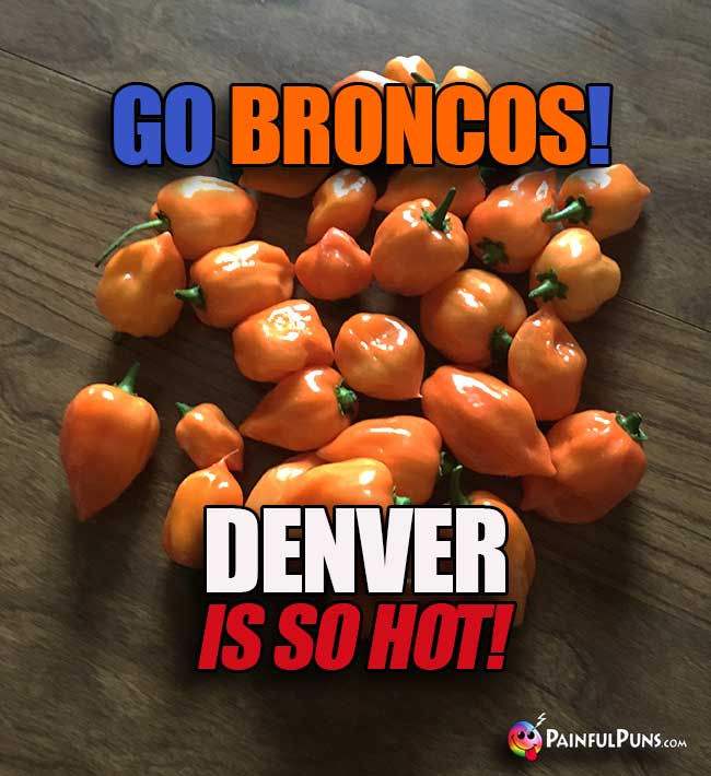 Orange Habanero Peppers say: Go Broncos! Denver is so hot!
