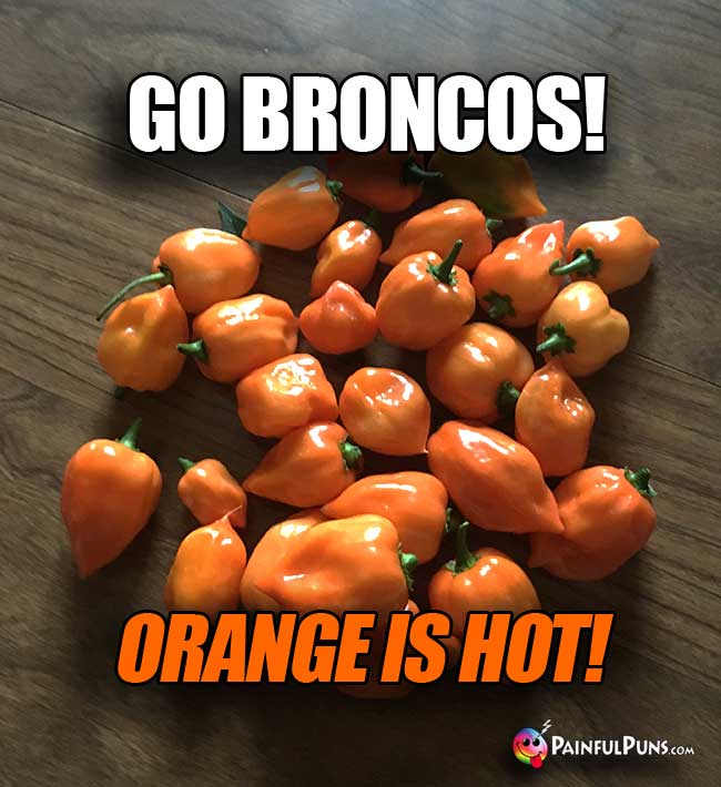 Orange Habanero Peppers Say: Go Broncos! Orange is Hot!