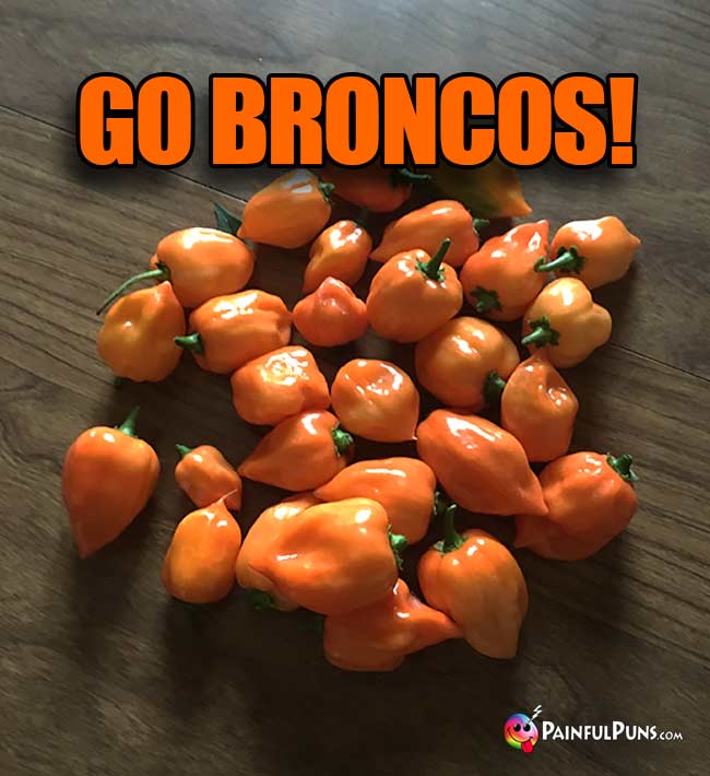 Orange Habanero peppers: Go Broncos!
