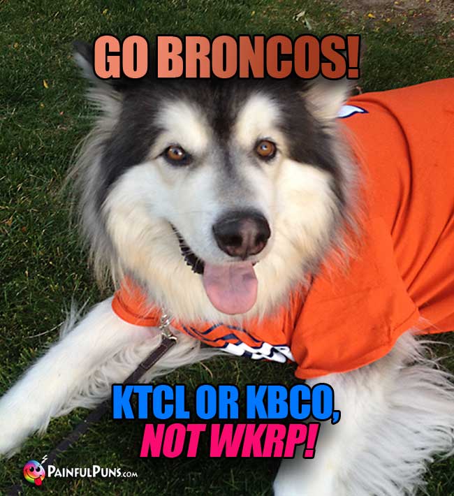 Denver dog says: Go Broncos! KTCL OR KBCO, not WKRP!