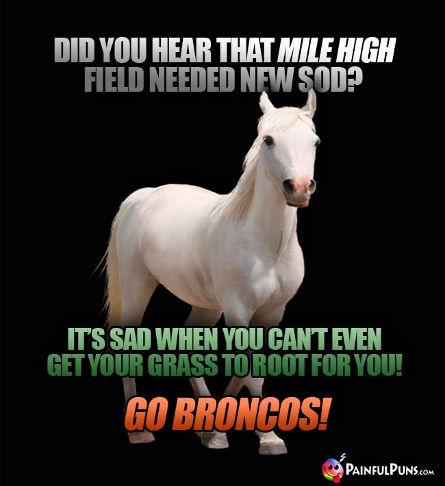 Horse asks: Did you hear that Mile High Field needed new sod? It's sad when you can't evne get your grass to root for you! Go Broncos!