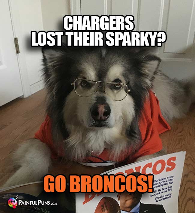 Denver dog fan says: Chargers Lost Their Sparky? Go Broncos!