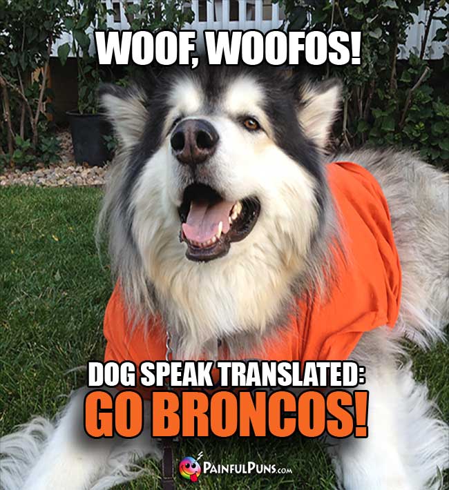 WOOF, WOOFOS! Dog speak transllated: Go Broncos!
