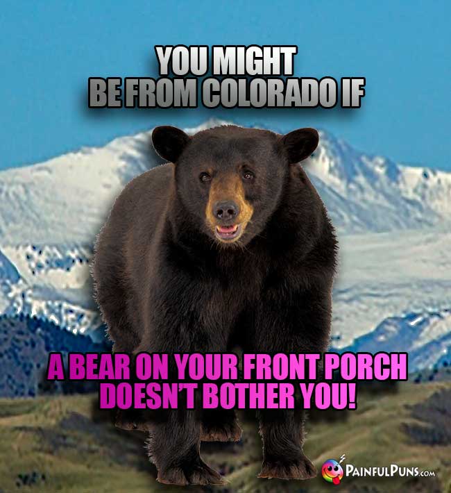 You might be from Colorado if a bear on your front porch doesn't bother you!