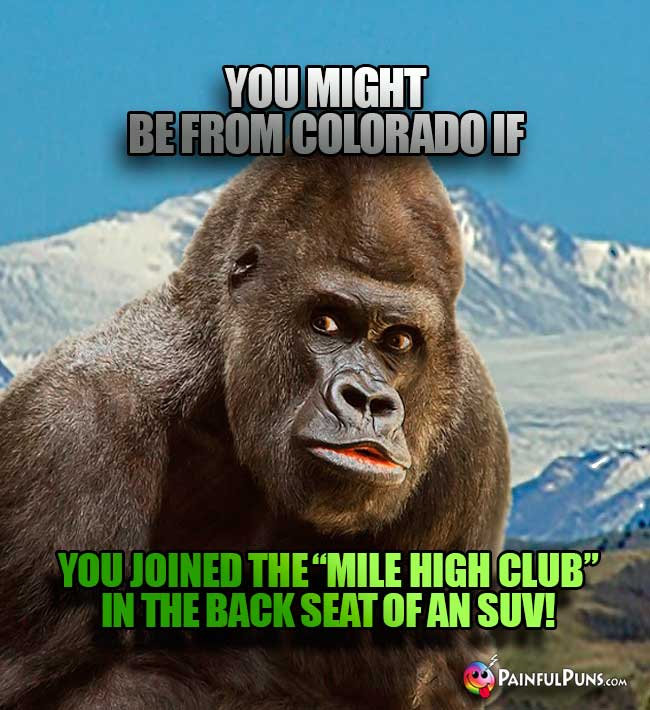 You might be from Colorado if you joined the "Mile High Club: in the back seat of an SUV!