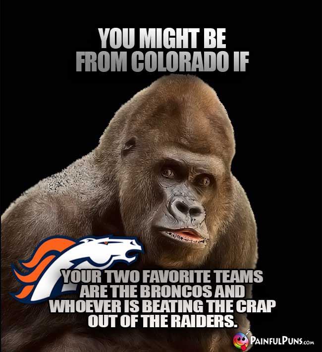 You might be from Colorado if your two favorite teams are the Broncos and whoever is beating the crap out of the Raiders.