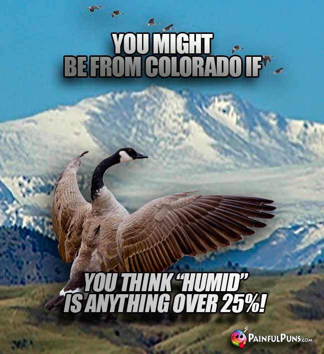 You might be from Colorado if you think "humid" is anything over 25%!