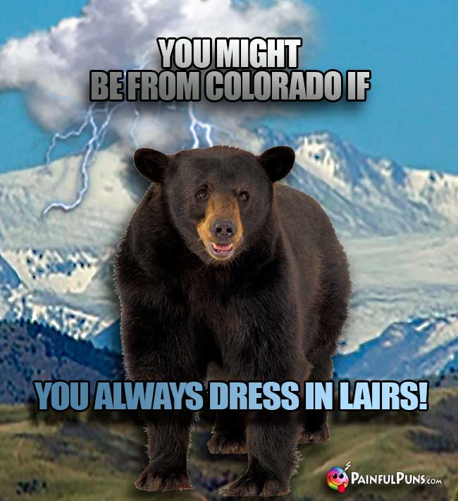 Bear says: You might be from Colorado if you always dress in lairs!
