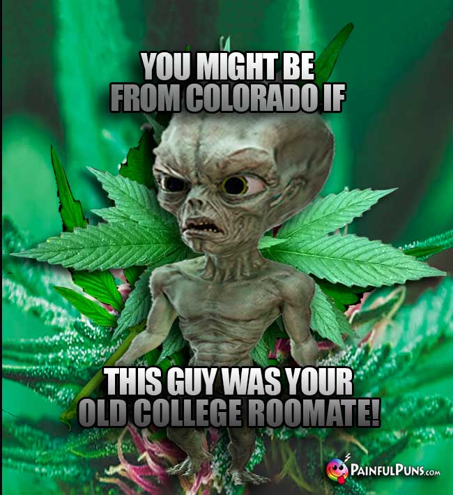 Alien in a weed field says: You might be from Colorado if this guy was your college roomate!