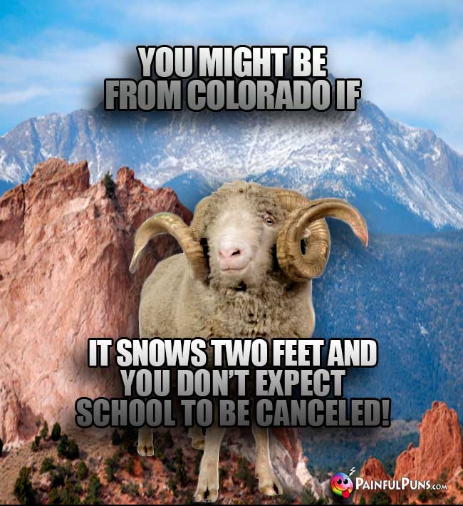 You might be from Colorado if it snows two feet and you don't expect school to be canceled!