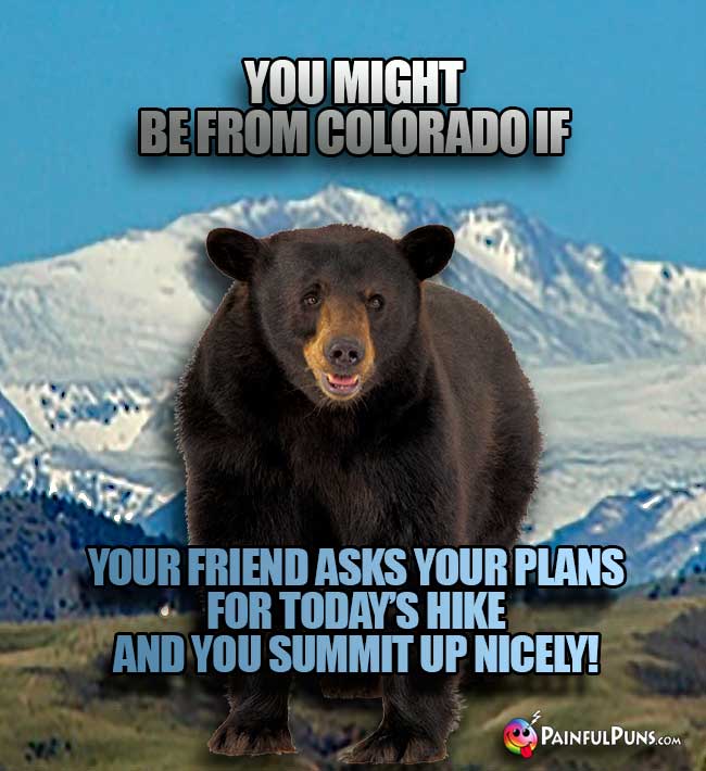 You might be from Colorado if you friend asks your plans for today's hike and you summit up nicely!