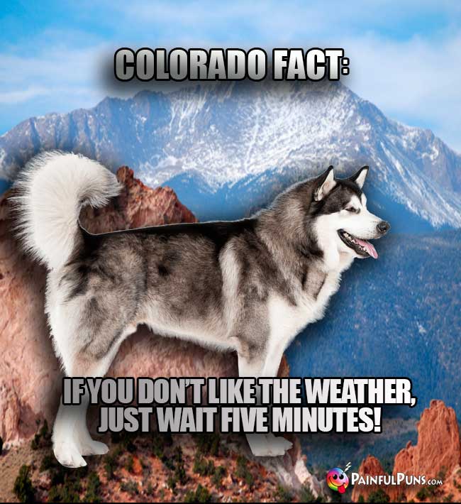 Colorado Fact: If you don't like the weaterh, just wait five minutes!