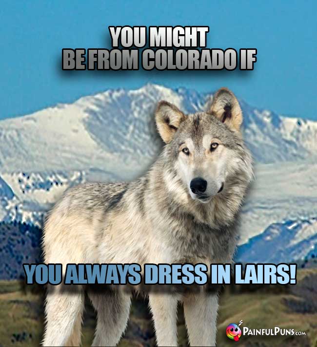 Wolf says: You might be from Colorado if you always dress in lairs!