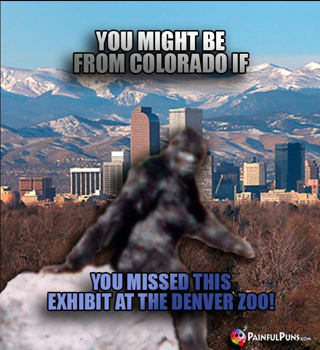 You might be from Colorado if you missed this exhibit at the Denver Zoo!