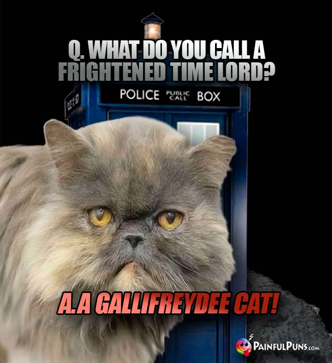 Q. What do you call a frightened time lord? A A Gallifreydee cat!