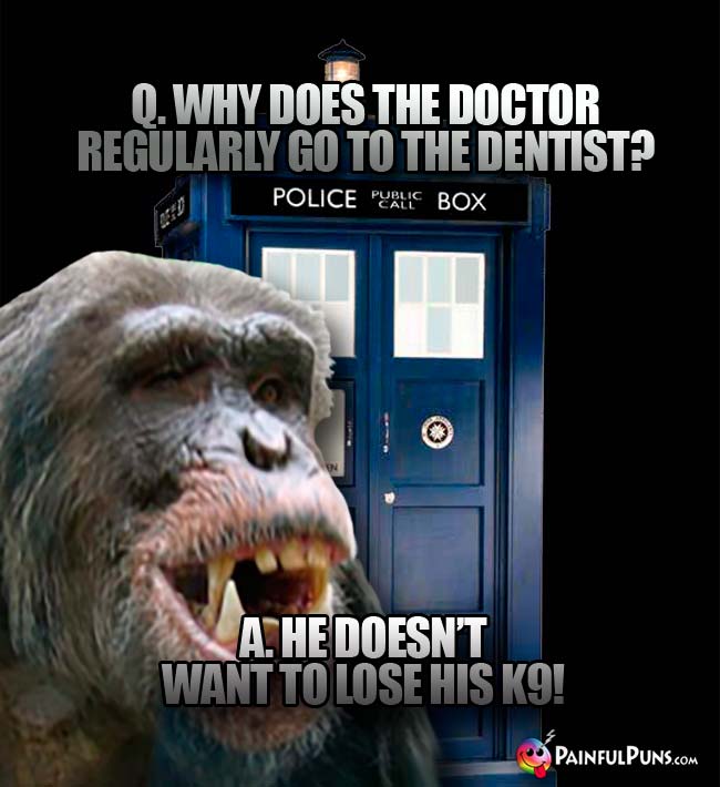 Q. why does the Doctor regularly go to the dentist? A. He doesn't want to lose his K9!