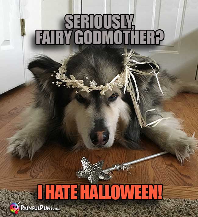 Big Dog Says: Seriously, Fairy Godmother? I Hate Halloween!