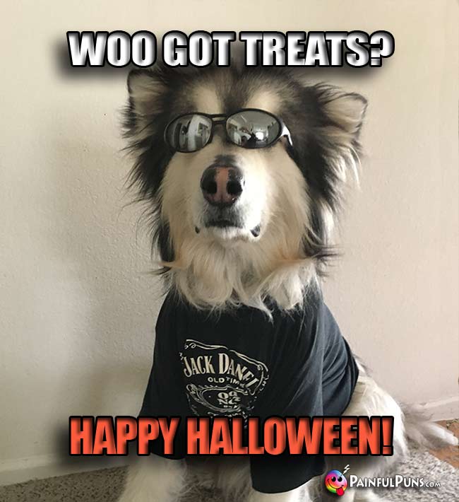 Party Dog Says: Woo Got Treats? Happy Halloween!