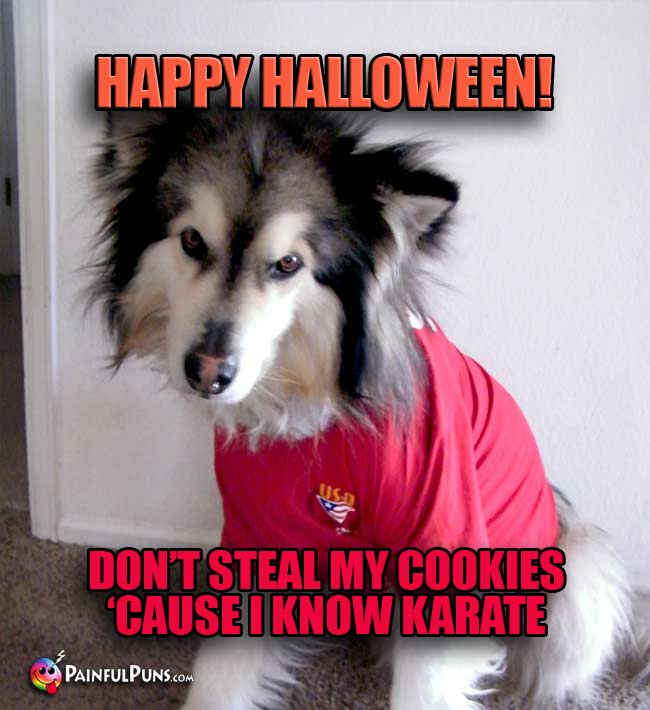 Big Dog Says: Happy Halloween! Don't Steal My Cookies 'Cause I Know Karate!
