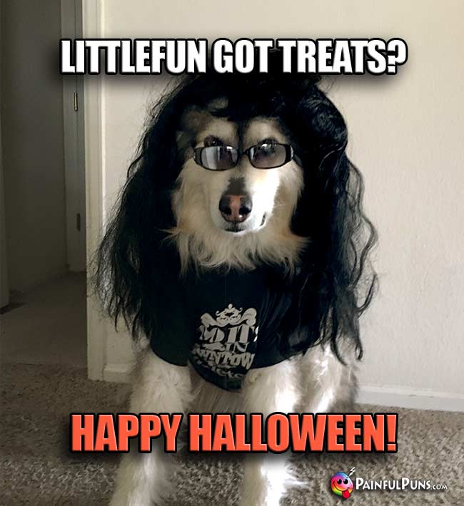 Hipster Colorado Dog Says: Littlefun Got Treats? Happy Halloween!