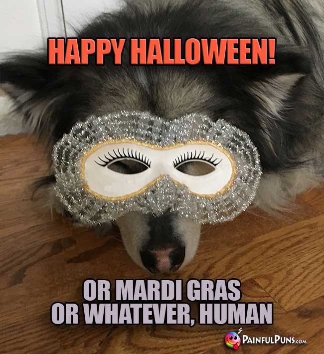 Tired Dog Says: Happy Halloween! Or Mardi Gras, Or Whatever, Human.
