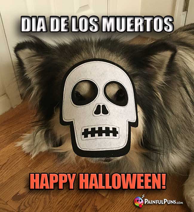 Dog wearing skull mask says: Dia De Los Muertos, Happy Halloween!
