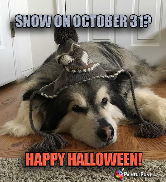 Colorado Dog Says: Snow On October 31? Happy Halloween!