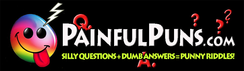 PainfulPuns.com - Silly Questions + Dumb Answers = Punny Riddles