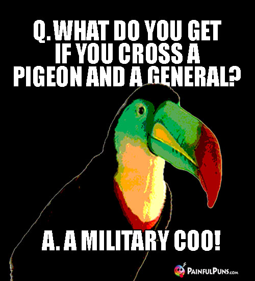 Q. What do you get if you cross a pigeon and a general? A. A Military Coo!