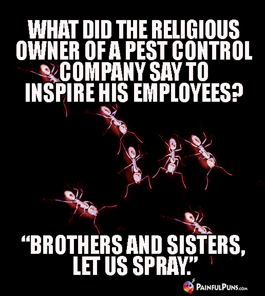 What did the religious owner of a pest control company say to inspire his employees? "Brothers and sisters, let us spray."