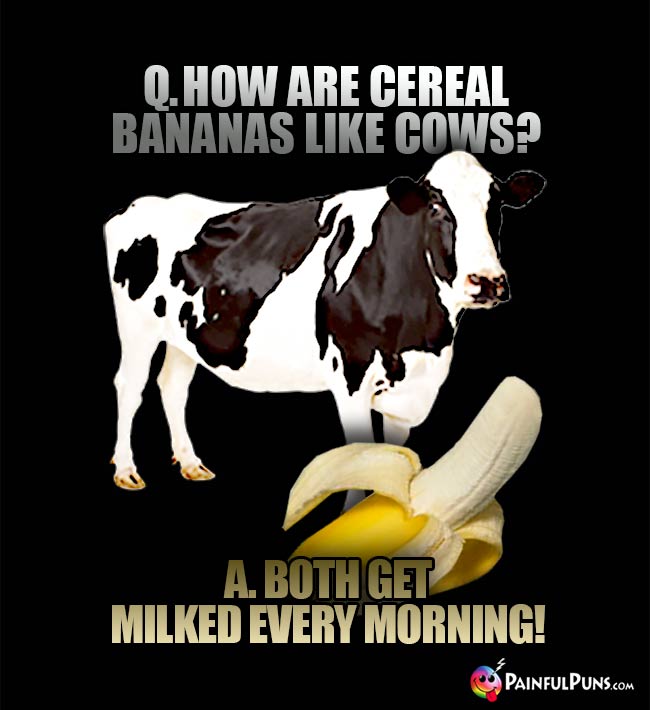 Mooving Banana Joke: How are cereal bananas like cows? A. Both get milked every morning!